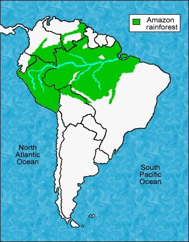 Amazon Rainforest - The Biome